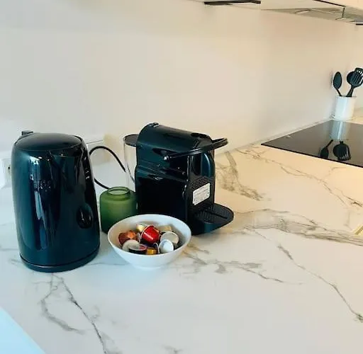 Large 1 Bedroom In Center Terrace & Parking-Chiny1