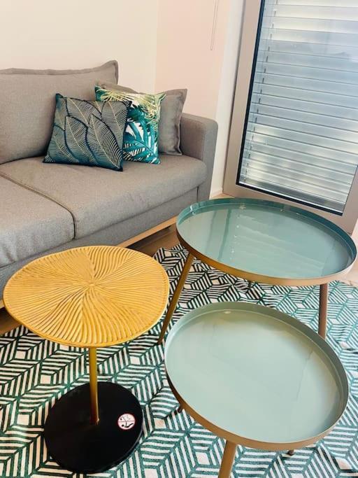 Appartement Large 1 Bedroom In Center Terrace & Parking-chiny1 *